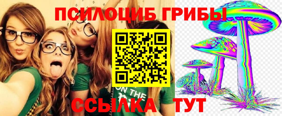 Псилоцибиновые грибы GOLDEN TEACHER  Вход с VPN  Псилоцибиновые грибы Magic Shrooms  Усть-Джегута 