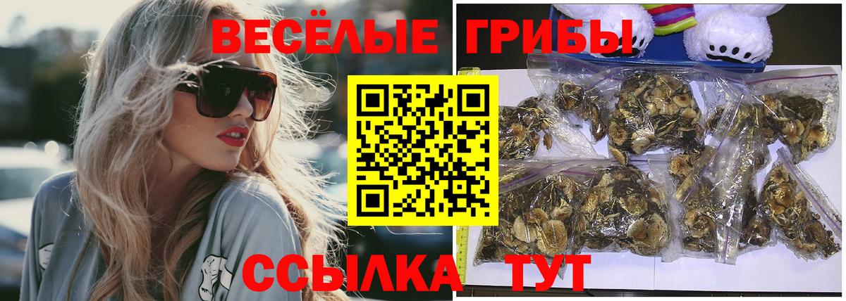 Галлюциногенные грибы ЛСД Усть-Джегута